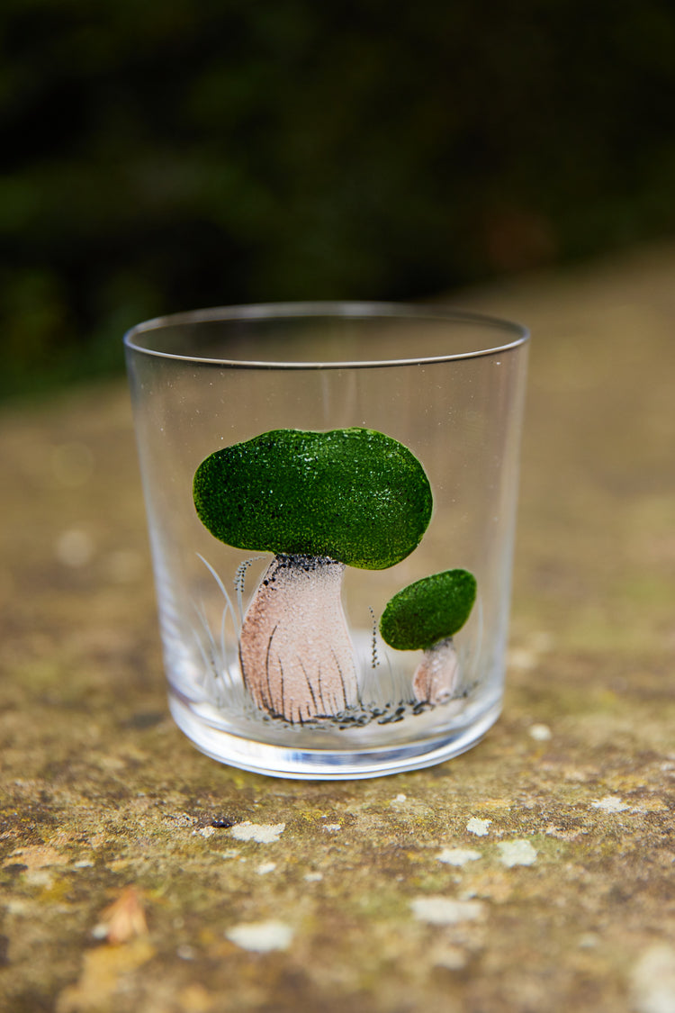 Set of 4 Mushrooms Hand-Painted Tumbler Glasses