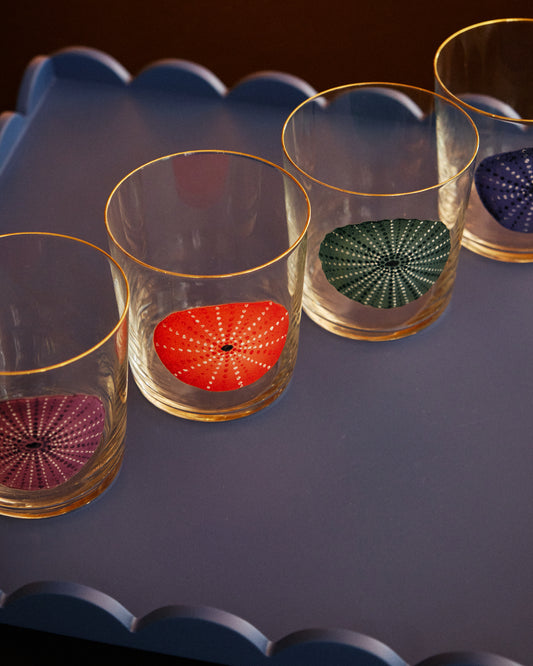 Set of 4 Urchin Hand-painted Tumbler Glass