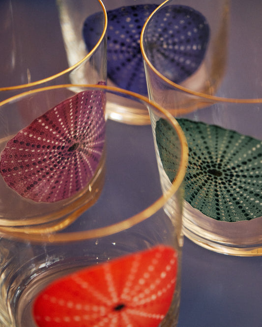 Set of 4 Urchin Hand-painted Tumbler Glass