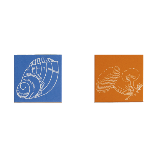 Set of 4 Crini & Sophia Porcelain Coasters