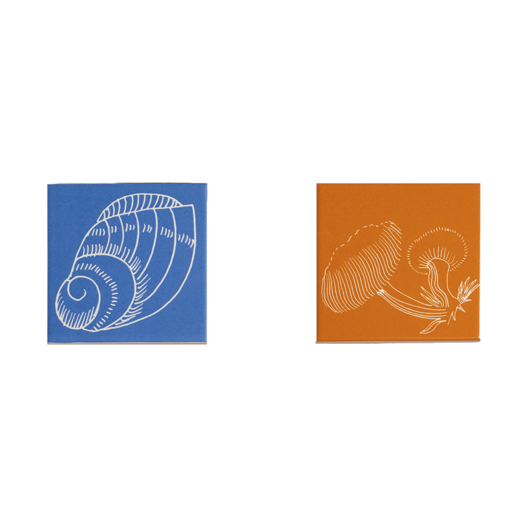 Set of 4 Crini & Sophia Porcelain Coasters