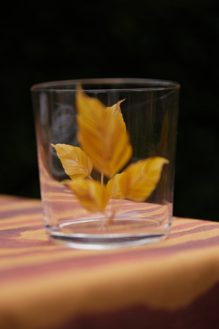 Set of 4 Leaves Hand-Painted Tumbler Glasses