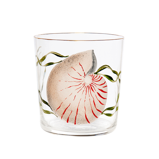 White Shells Hand-Painted Tumbler Glass