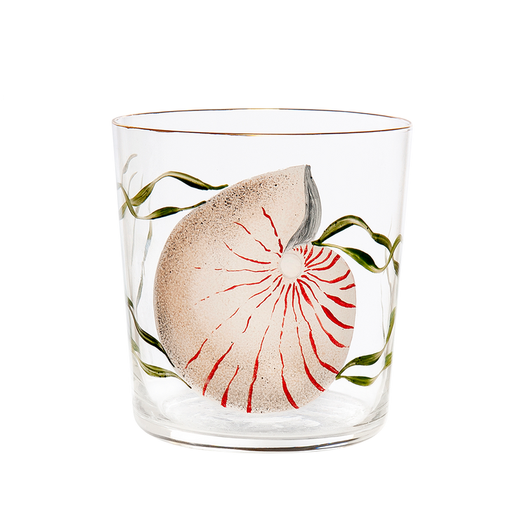 White Shells Hand-Painted Tumbler Glass