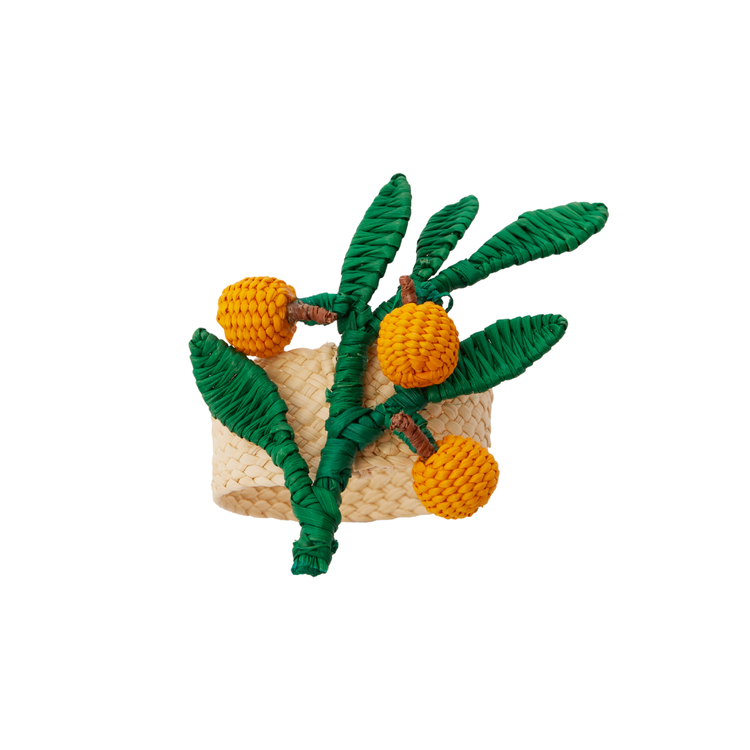 Set of 2 Orange Branch Handwoven Napkin Ring